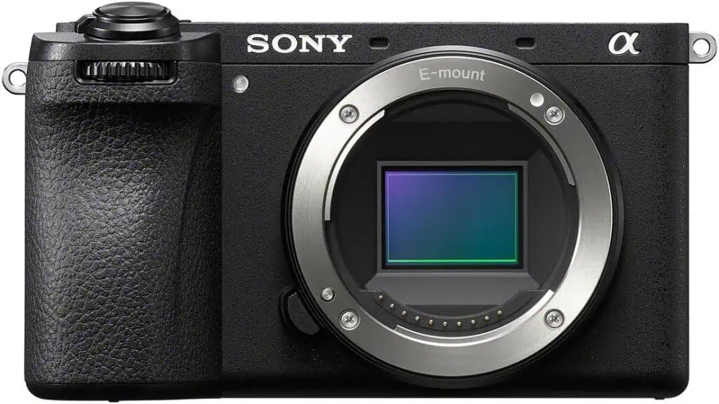 best camera for birding