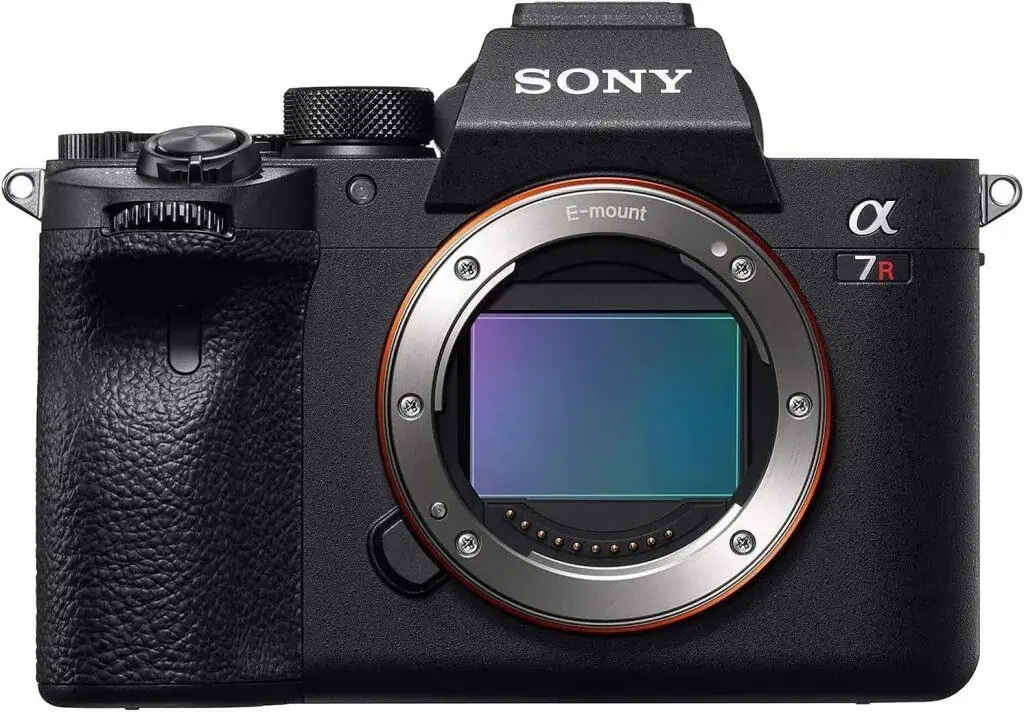 best camera for wedding photography