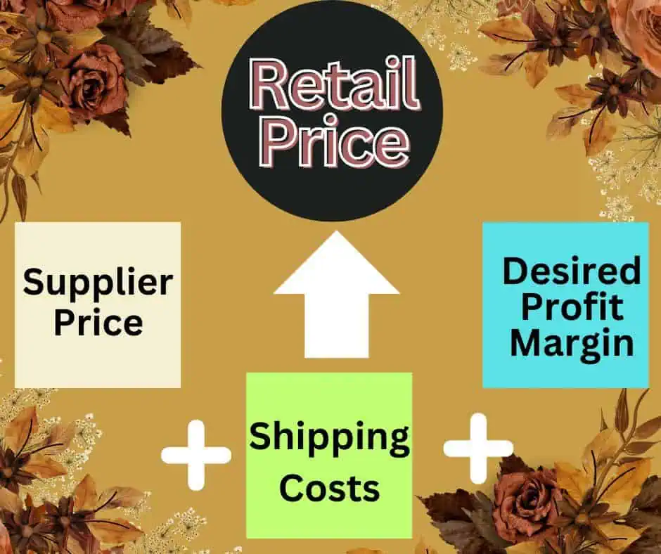 how to start a dropshipping store with no investment