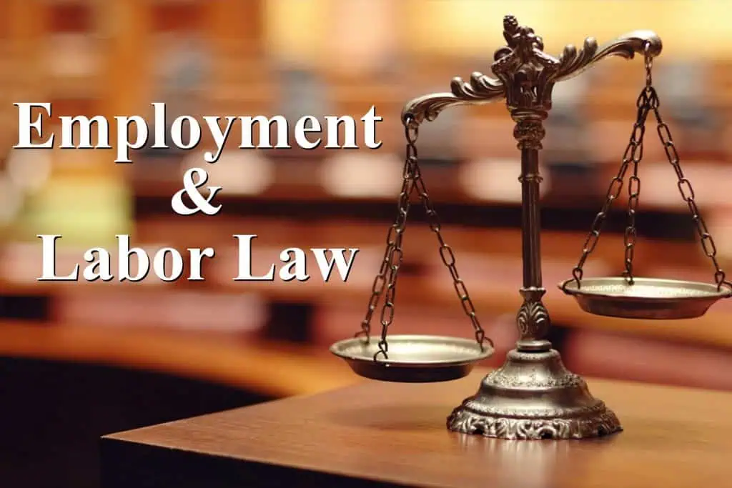 online employment agencies with remote jobs for disabled people